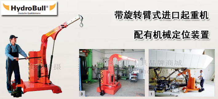 Hydrobull帶旋轉(zhuǎn)臂式進口起重機